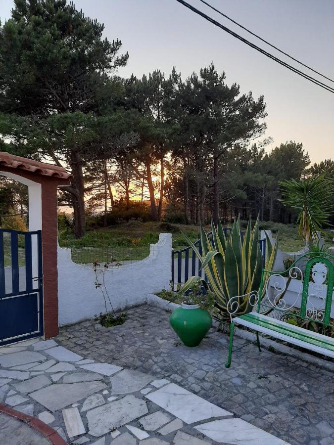 Lemos Family Beach House Nazare Bagian luar foto